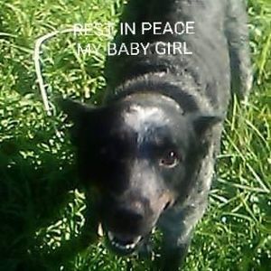 Meet your Posher, Sidney